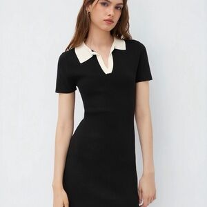 Cider Black Mini Dress with Cream Polo Collar